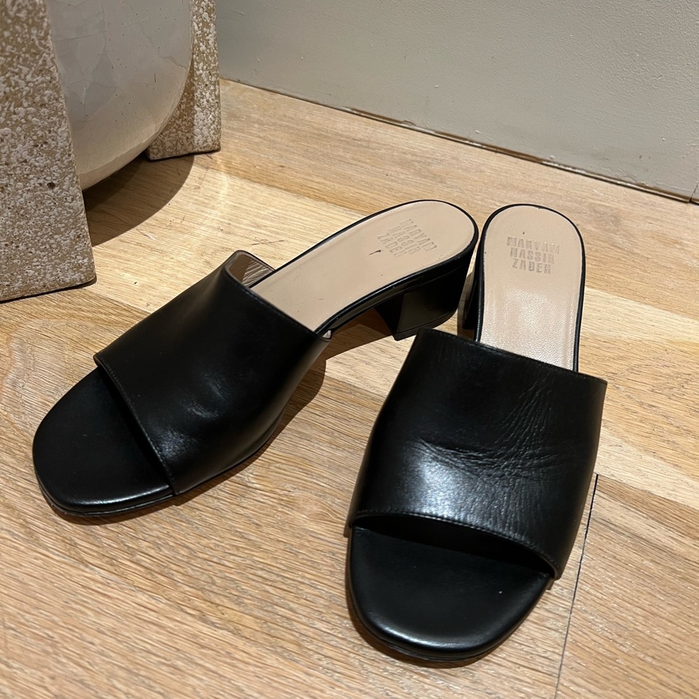 Maryam Nassir Zadeh Agatha slide